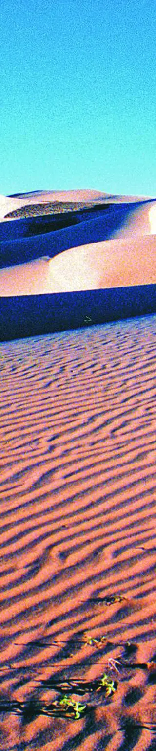 Horch dem Lied der Wüste